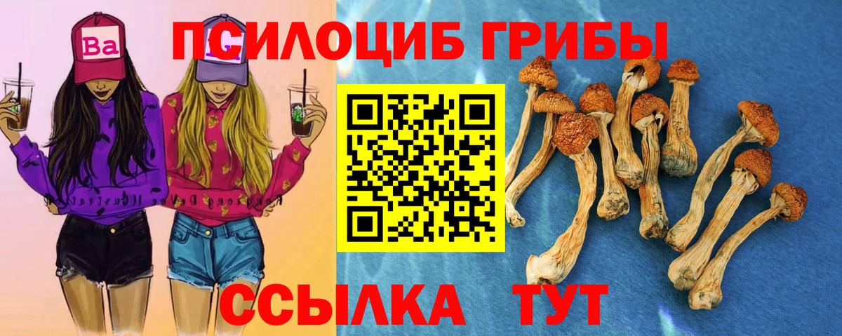где продают   Вход с VPN  Карасук  Галлюциногенные грибы мухоморы 