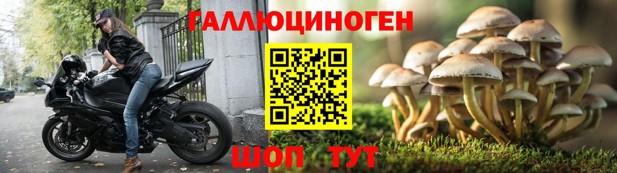 Галлюциногенные грибы MAGIC MUSHROOMS Карасук